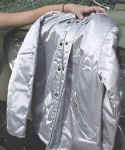 ae96silvermptex2.JPG (17625 bytes)